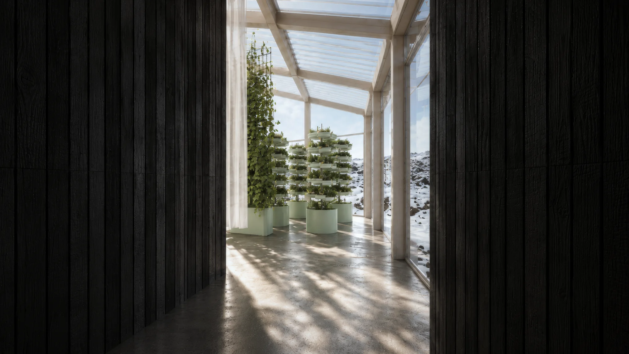 Sunlight entering a greenhouse corridor beside dark timber walls and planting towers.