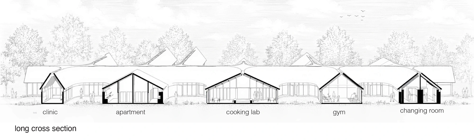 Longitudinal section through clinic, apartments, cooking lab, gym and changing room.